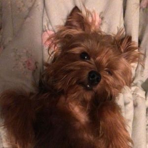 Meet your Posher, Lydia